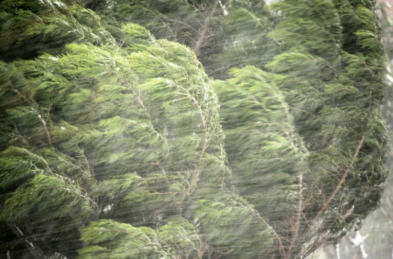 Katastrofalan vjetar u Francuskoj: Formiraće se tornado?; Jedna osoba poginula FOTO/VIDEO