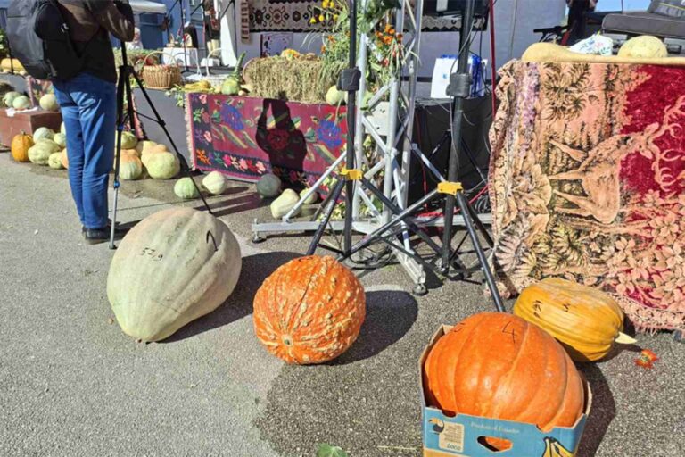 Dani tikve u Istočnom Sarajevu: Rekord od 57.9 kilograma