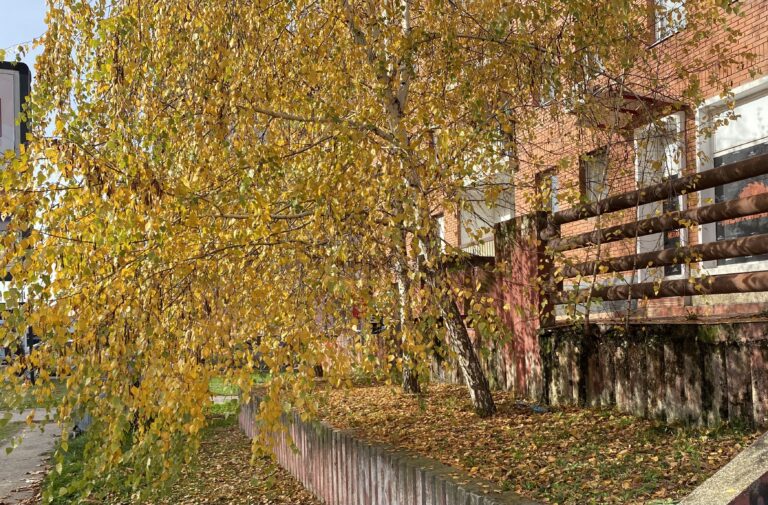 Jak vjetar, obilna kiša i snijeg: Republiku Srpsku očekuje nagla promjena vremena