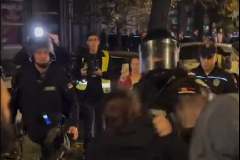 Brutalno nasilje Žandarmerije nad djevojkom u Novom Sadu: Udarac u glavu, čupanje za kosu VIDEO
