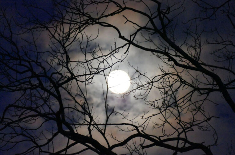 Večeras fenomen na nebu iznad BiH: Posljednji do 2042. godine FOTO/VIDEO