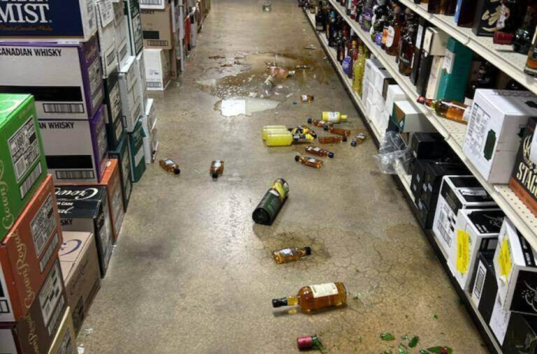 Neobičan „prestupnik“ – rakun: Nije mu prvi put, opija se, krade grickalice…FOTO/VIDEO