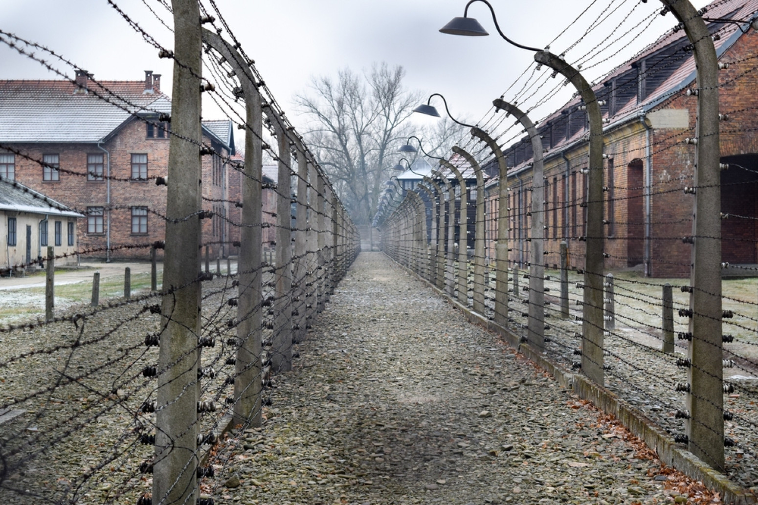 Nemac tek sa 47 godina otkrio da mu deda bio arhitekta Holokausta VIDEO