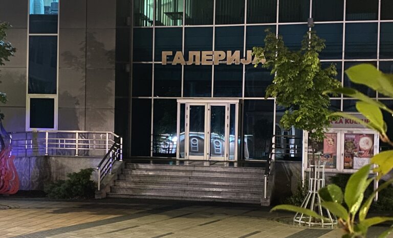 Bijeljina slavi svoju umjetnicu: Izložba Natalije Cimeše 18. decembra u Galeriji Centra za kulturu