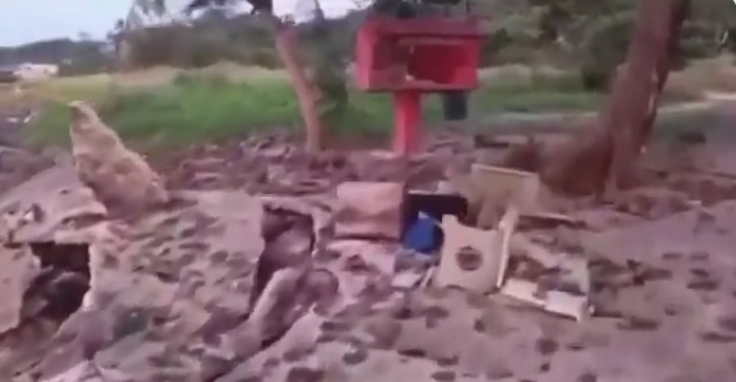 Nastavljaju se napadi; Veliki broj mrtvih i ranjenih – nema prekida vatre FOTO/VIDEO