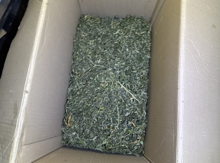 U Šamcu pronađeno 3,8 kilograma opojne droge marihuane