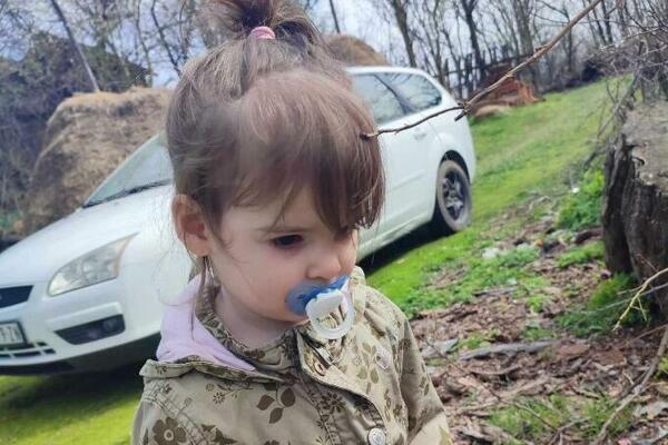 Podignuta optužnica za ubistvo Danke Ilić