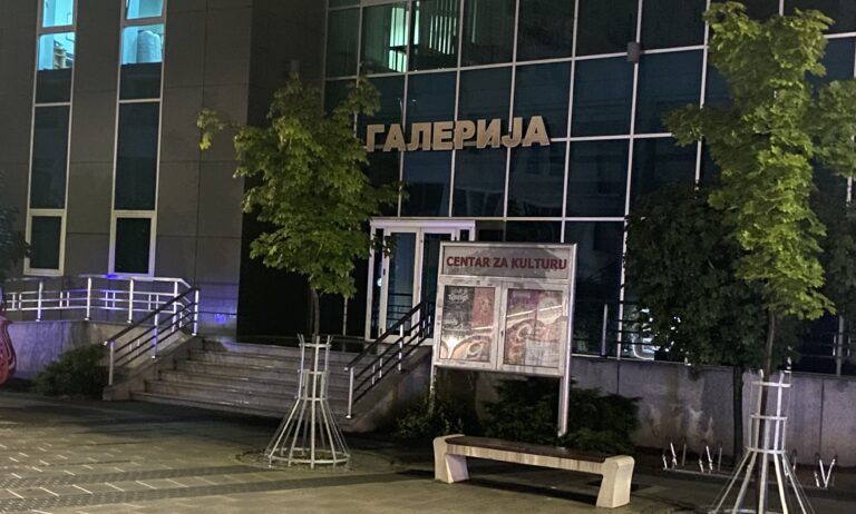 Humanitarni koncert za liječenje naše Zorane Miloradović