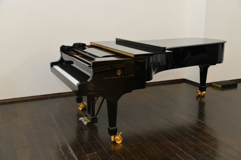 U Bijeljinu stigao koncertni klavir FOTO