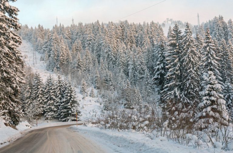 Srbija pod snijegom: Napadao već i do 30 centimetara, proleće stiže krajem meseca FOTO/VIDEO