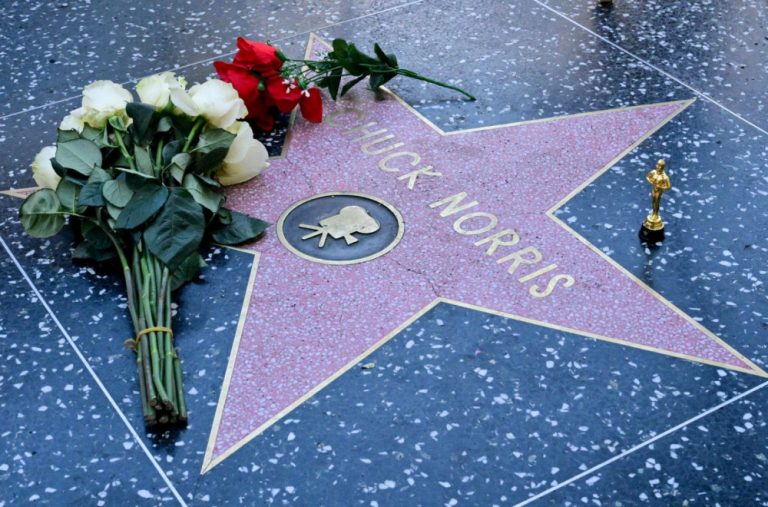 U našem komšiluku podigli spomenik Čaku Norisu; Znate li gdje se nalazi? FOTO