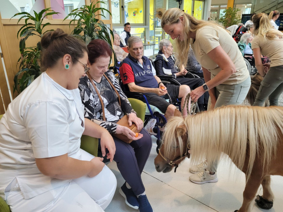 Nova dimenzija lečenja u Beču: Životinje vraćaju osmeh pacijentima FOTO