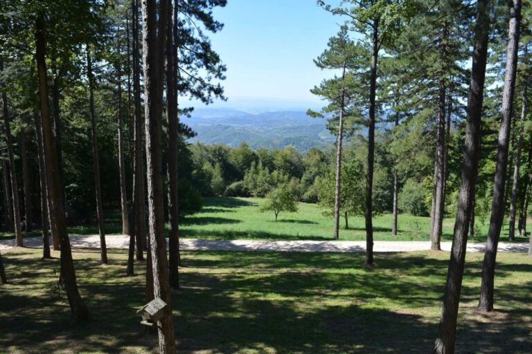 Stiže proljeće: Tačno u ovo vrijeme počinje ravnodnevnica