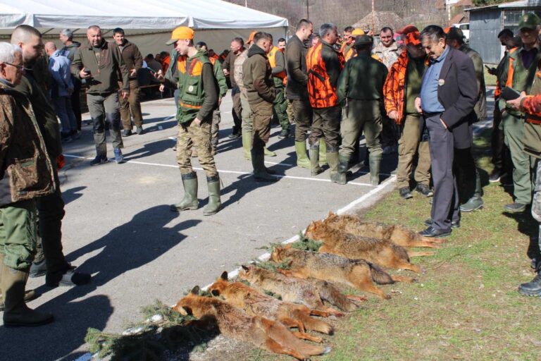U Brijestu se okupilo preko 300 lovaca na predatore
