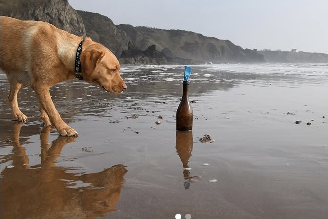 Pas pronašao bocu sa porukom na plaži: Stigla je sa tačnim uputstvom posle dve zime FOTO