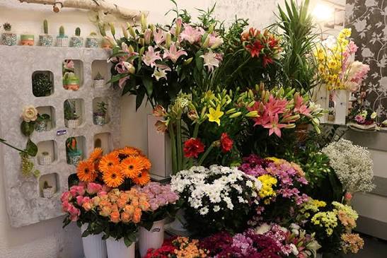 Čovjek ukrao ruže iz cvjećare: Sad ga čekaju četiri godine zatvora