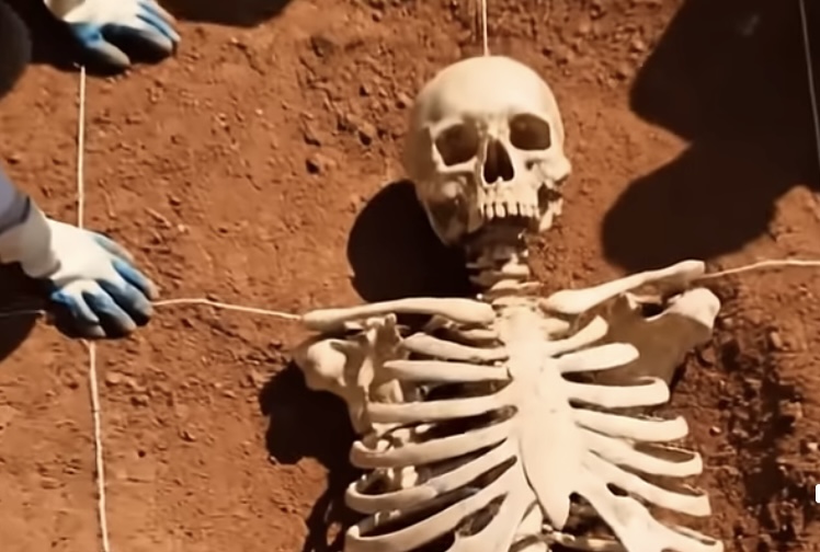 Pronađen skelet čuvenog musketara?; DNK uzorak poslat na analizu