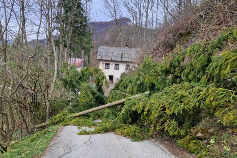 Katastrofalna oluja pogodila Sloveniju: Oštećene zgrade, počupana stabla, mnogi putevi blokirani FOTO