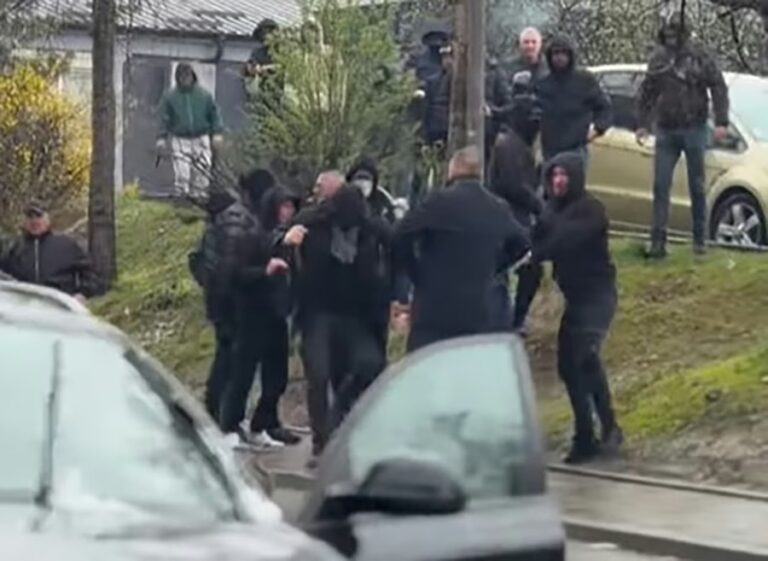 Oglasile se Evropske demokrate: Izbori u Srbiji nisu slobodni, Vučić i SNS odgovorni za nasilje i zastrašivanje