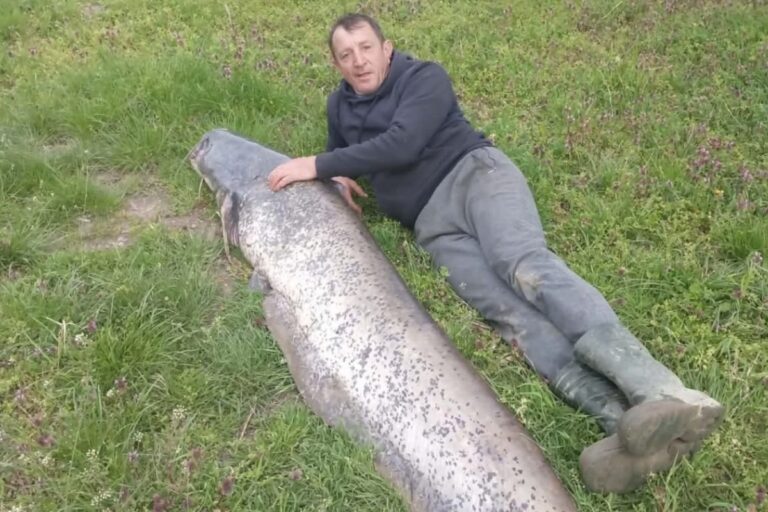 Borba s grdosijom: Franjo ulovio najveću ribu na kišnu glistu