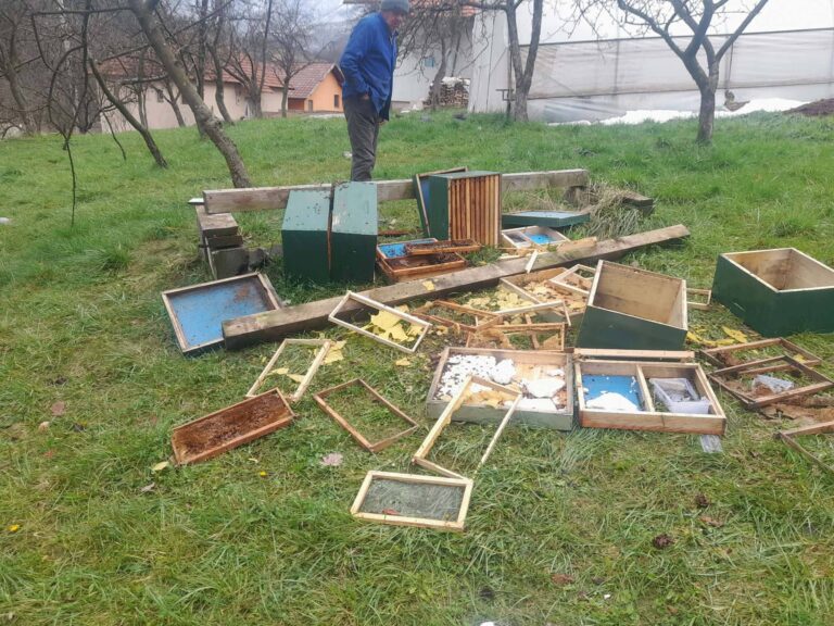 Medvjed potpuno uništio pčelinjak kod Travnika