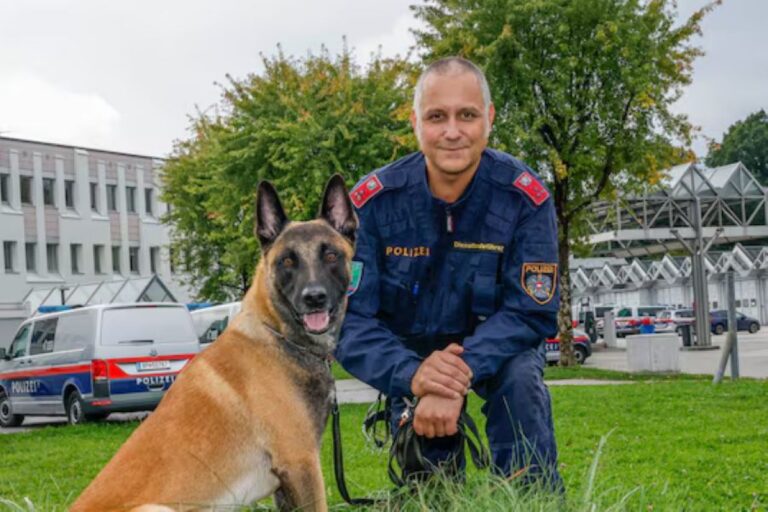 “Bandit” iz Salcburga “razbio” bandu iz Srbije