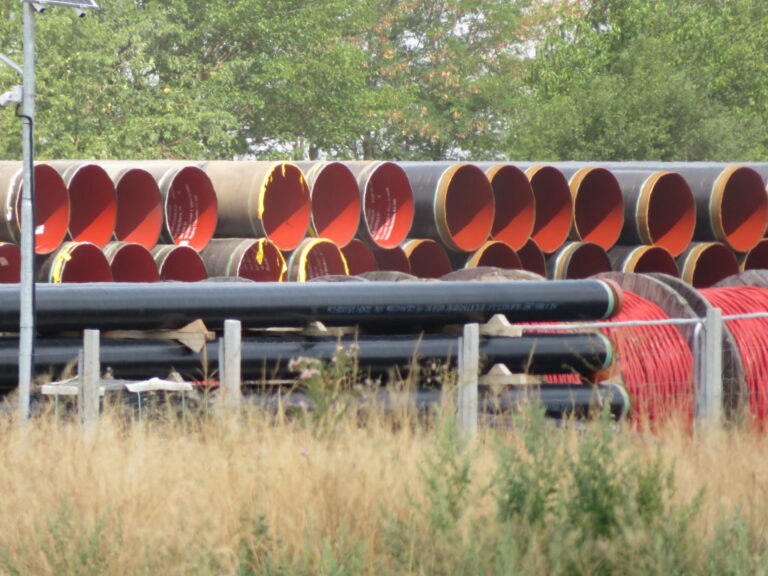 Zakon o Južnoj interkonekciji pogoduje nepoznatom investitoru i mora biti povučen iz hitne procedure